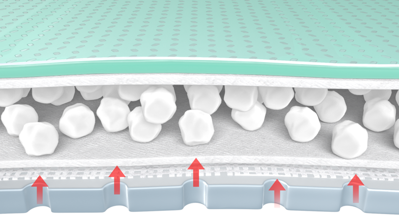 Absorbce exsudátu - Zetuvit Plus Silicone Border