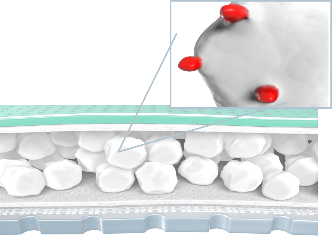 Vázání inhibitorů (MMP) v krytí Zetuvit Plus SIlicone Border