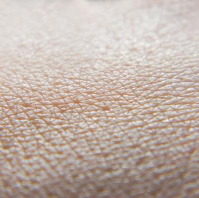 Kůže je největším orgánem lidského těla