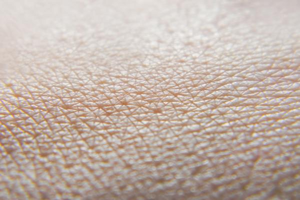 Kůže je největším orgánem lidského těla