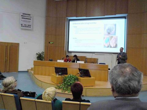 konference